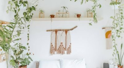 Plantas e flores para decoração boho: crie seu oásis natural