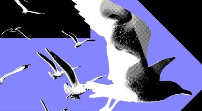 Os influenciadores políticos mais poderosos mal postam sobre política