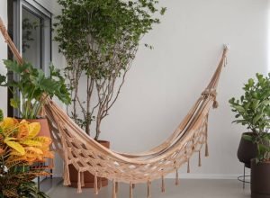 Árvores em apartamento: seu guia definitivo para um pomar na sacada ou varanda