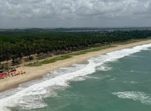 tudo sobre a praia de Porto de Galinhas