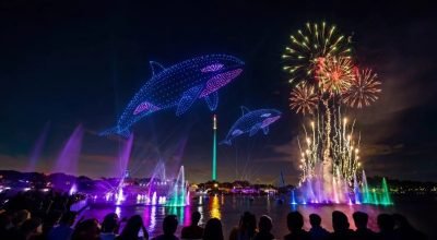SeaWorld terá festival de verão com show inédito de drones e apresentações noturnas com animais