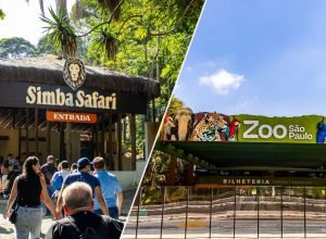 Ingressos para o Zoo São Paulo ou Simba Safari a partir de R$ 51 com cupom exclusivo de 15% OFF!