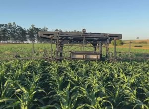 Agro 5.0: novas tecnologias mudam rotina no campo e cortam desperdício no interior de SP