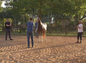 Expo Agro Itapetininga 2026: tradição, histórias e negócios