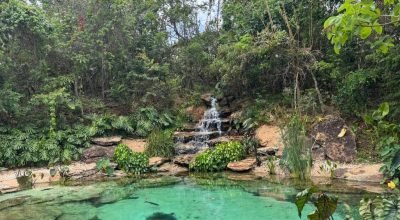 Você pode ter um lago em casa!