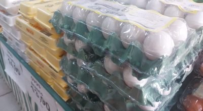 Preço dos ovos sobe e exportações batem recorde de 13 anos, diz USP