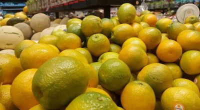Laranja: chuvas derrubam qualidade das frutas e esfriam mercado paulista em janeiro, analisa USP